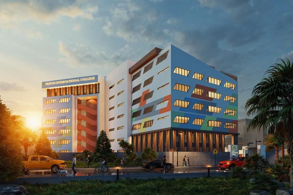 Triton International College